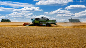 اتفاق تصدير الحبوب.. الشركات الروسية تتكبّد مليار دولار خسائر