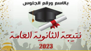 اليوم.. مؤتمر صحفي لإعلان تفاصيل وإحصائيات نتيجة الثانوية العامة