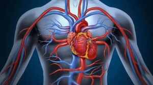 الضغط المنخفض.. الأسباب والأعراض وطرق علاجه