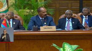 رئيس إريتريا بقمة “دول الجوار”: نرفض أي تدخل خارجي في السودان
