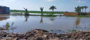 الري تبحث شكاوى المزارعين في بحر البقر بالشرقية