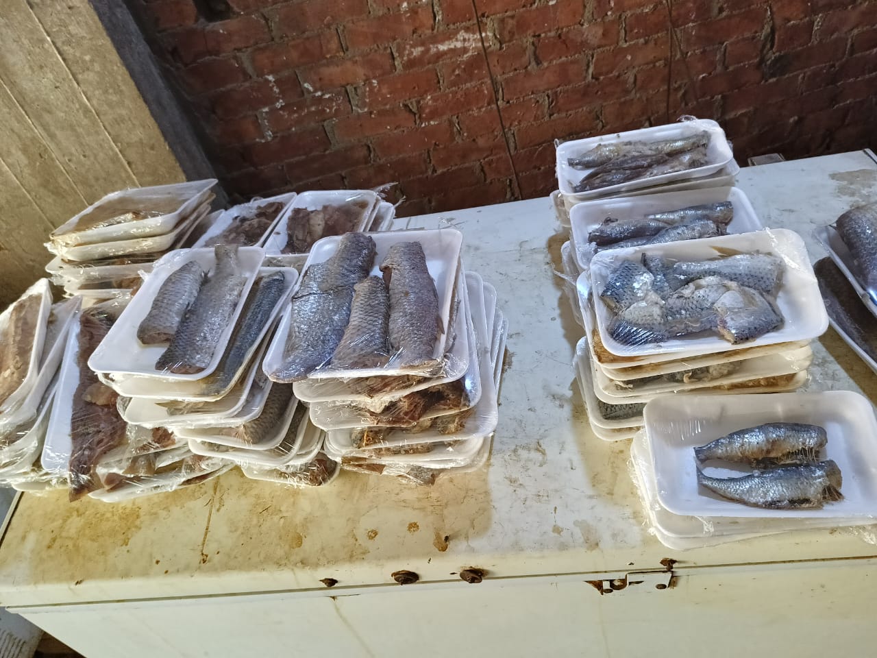 ضبط ٤.٥ طن  دواجن وكبدة واسماك مملحة ولحوم غير صالحة للاستهلاك الأدمي بالجيزة