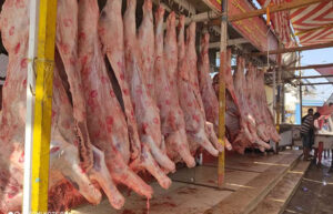 جهاز الإحصاء 92% ارتفاع في أسعار اللحوم