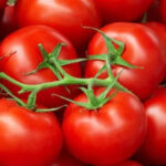 أسعار الطماطم