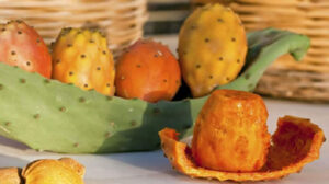 5 فوائد مذهلة لـ قشر التين الشوكي