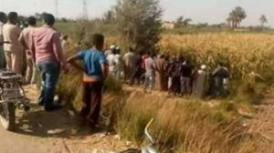 مزارع يلقى حتفه على يد أبناء عمومته بسوهاج