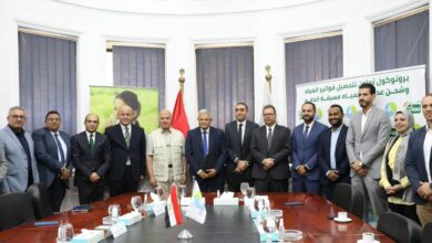 شركة الأهلي ممكن وشركات البنك الأهلي