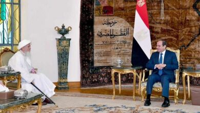 السيسي