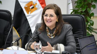 وزيرة التخطيط