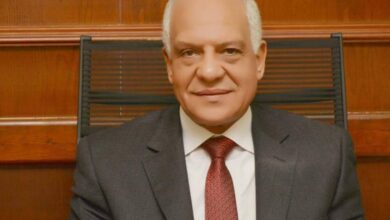 محافظ الجيزة