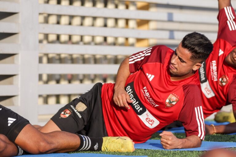 رضا سليم الأهلي