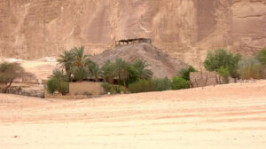 القصة من أولها… كيف خططت إسرائيل لتوطين الفلسطينيين في سيناء؟