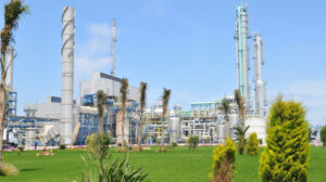 الدلتا للسكر وموبكو تنفى دراسه الحكومة بيع حصص لهم