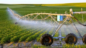 مبيعات الدولية للمحاصيل السنوية تقفز لـ2.3 مليار جنيه خلال العام الماضى