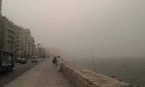   زيت غير متوقع يعالج الجيوب الأنفية خلال العاصفة دانيال