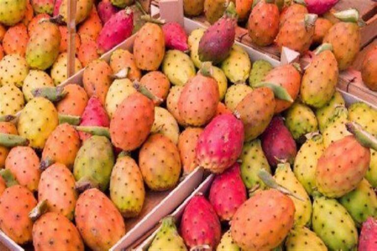 تناول التين