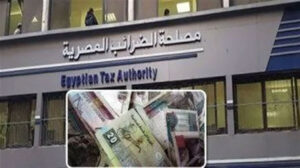 قرار لـ”وزير المالية” بإلزام جميع الجهات والشركات بتطبيق منظومة ضريبة الأجور والمرتبات