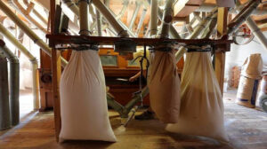 128.8 مليون جنيه أرباح مطاحن مصر الوسطي خلال العام الماضي