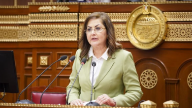 هالة السعيد وزيرة التخطيط والتنمية الاقتصادية