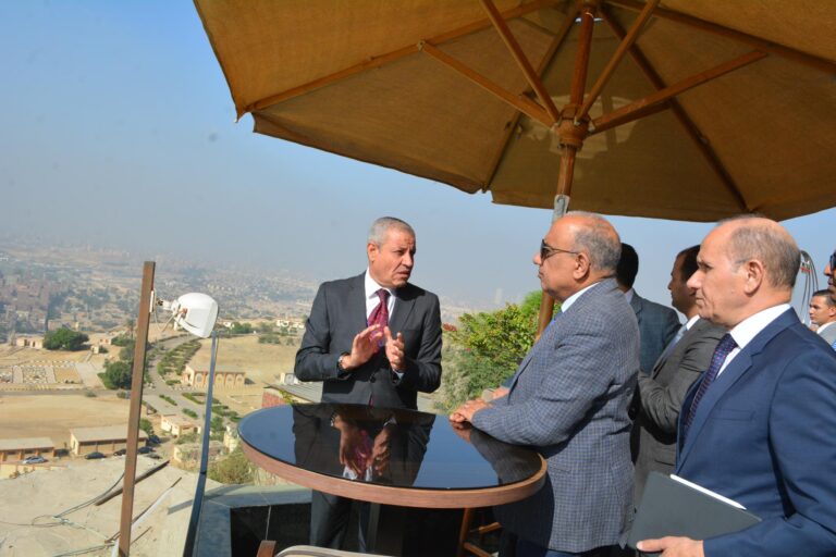 الدكتور محمود عصمت