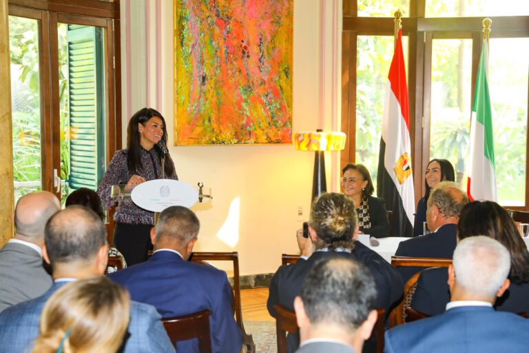 وزيرة التعاون الدولي