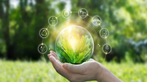 الوطنية للمشروعات الخضراء.. زيادة وعي  الشعب المصري بأهمية التغيرات المناخية