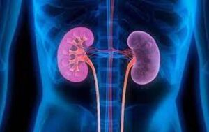 أعراض سرطان الكلى قد لا تتوقعها