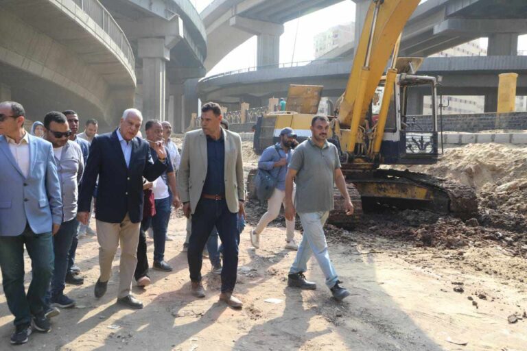 محافظ الجيزة