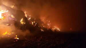 اندلاع حريق هائل داخل جرن لتخزين قش الأرز بالبحيرة