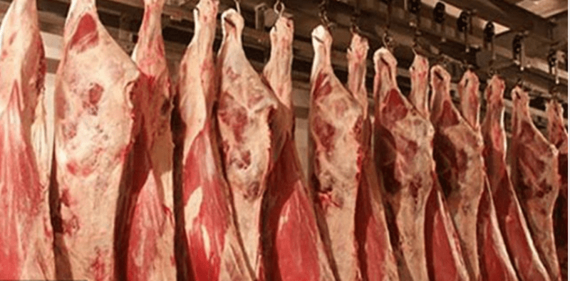 أسعار اللحوم في مصر اليوم الاثنين