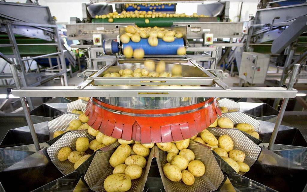 “فوديكو” تستهدف تحقيق 32.76 مليون جنيه أرباحاً خلال 2024