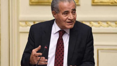 الدكتور على المصيلحي