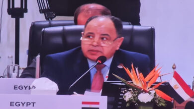 وزير المالية