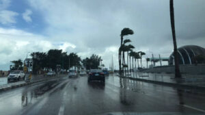 انخفاض درجات الحرارة غدًا وشبورة كثيفة على الطرق.. تحذيرات الأرصاد للمواطنين