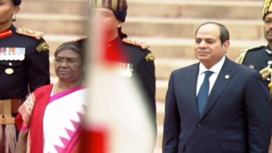 السيسي