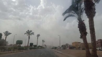 الأرصاد