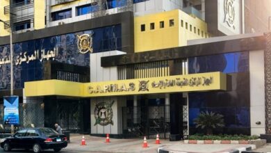 التعبئة والإحصاء