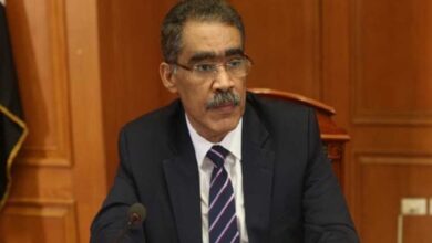 ضياء رشوان رئيس هيئة الاستعلامات
