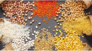 اليوم ..ارتفاع أسعار البقوليات والأرز