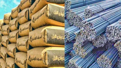 الحديد والأسمنت
