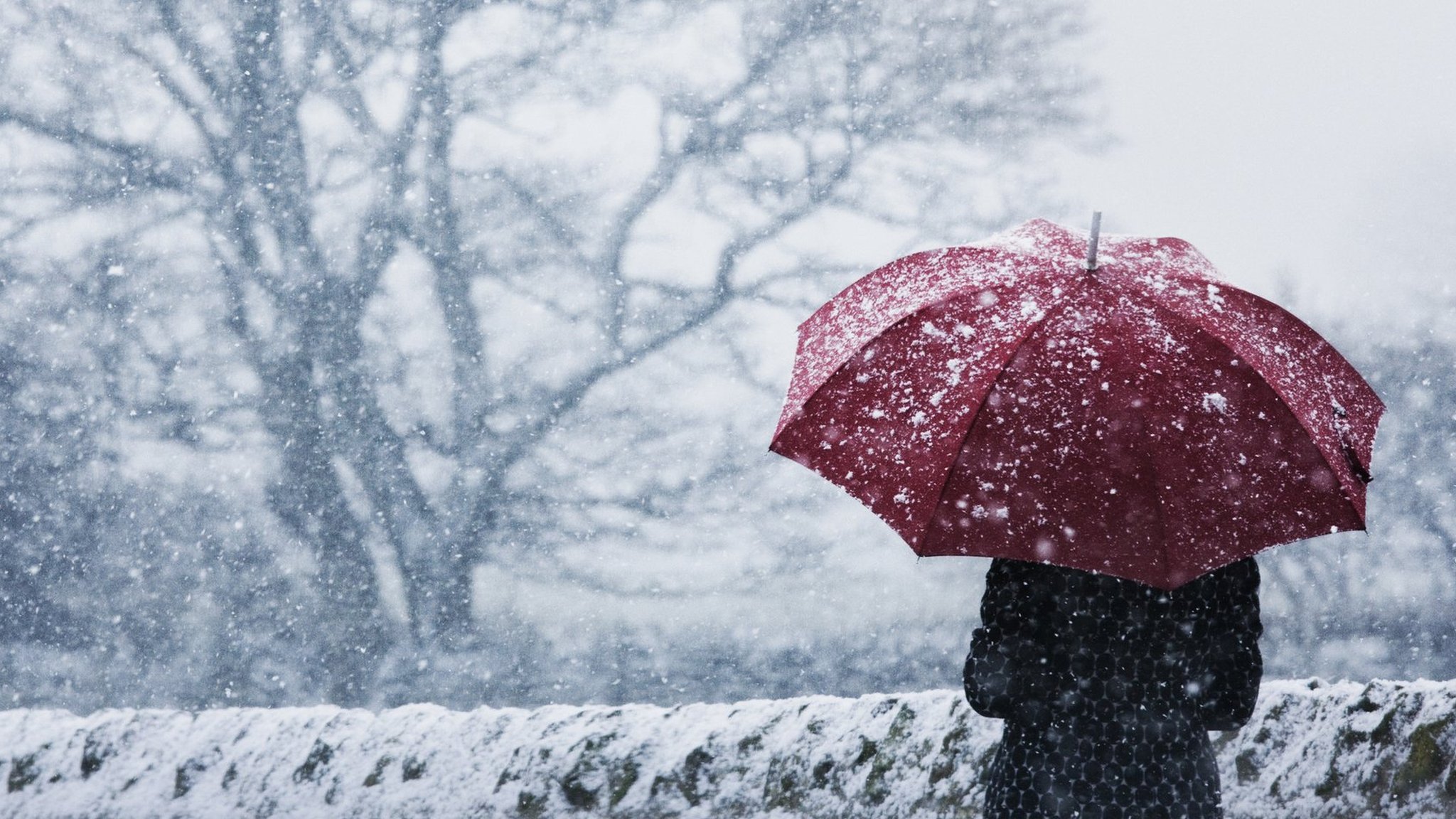 النرويج.. دمار وقطع للكهرباء بسبب أقوى عاصفة منذ 30 عامًا