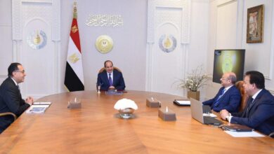 السيسي