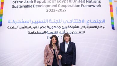 وزارة التعاون الدولي