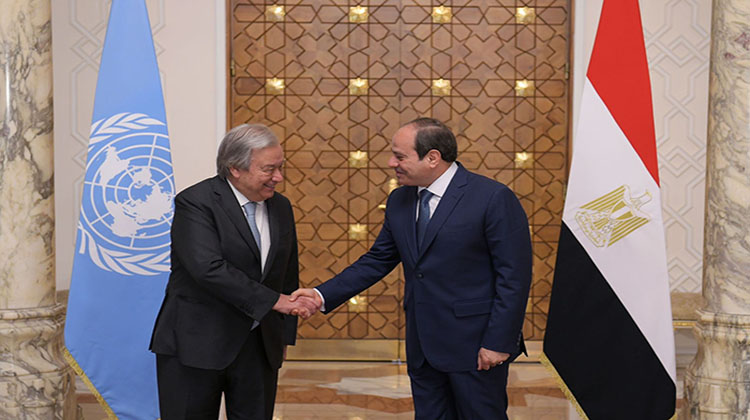 السيسي