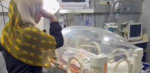 16 متوفيًا حتى اليوم.. سوء التغذية والجفاف يعصفان بأطفال غزة