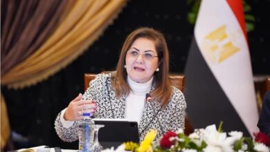 وزيرة التخطيط