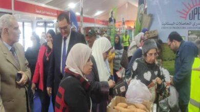 الزراعة