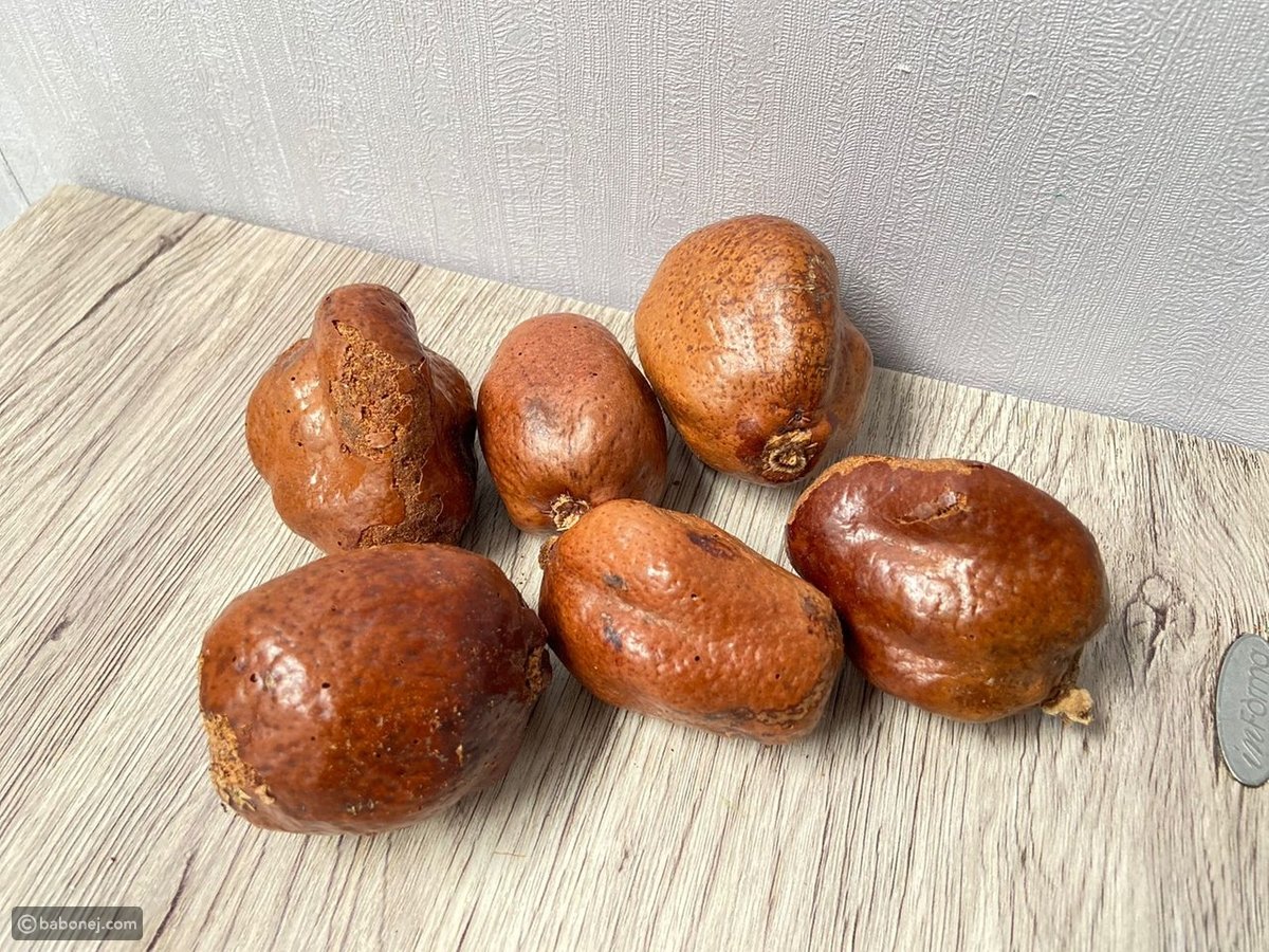 أبرزها محاربة السرطان وتقوية المناعة.. 11 فائدة وراء تناول عصير الدوم يوميًا