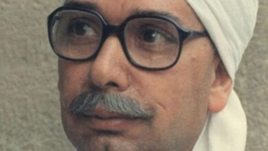 محمود الشاذلي