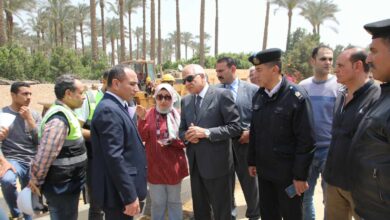 محافظ الجيزة